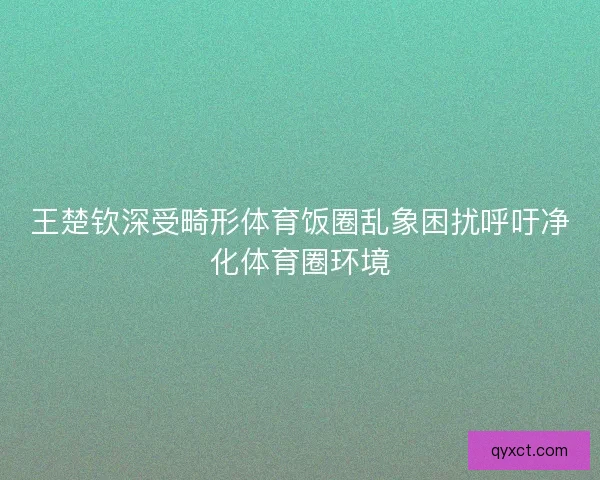 王楚钦深受畸形体育饭圈乱象困扰呼吁净化体育圈环境